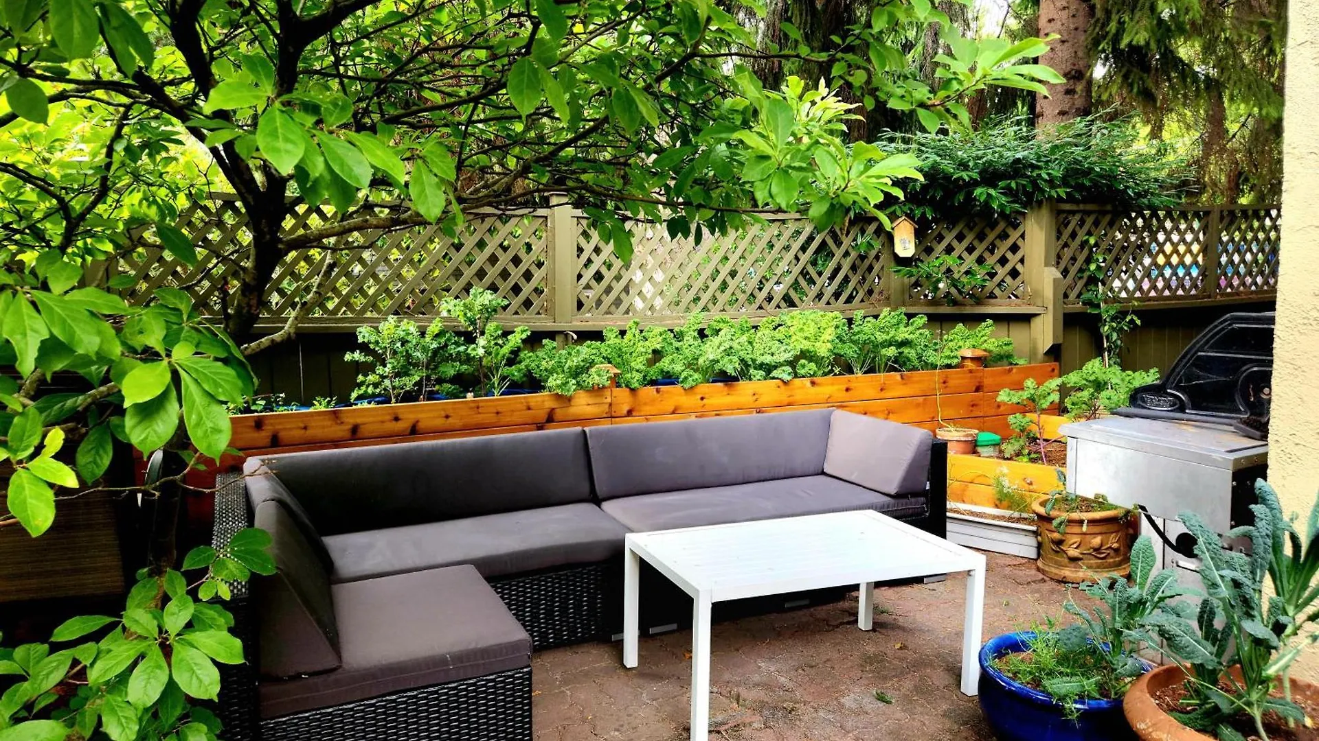 Bed & Breakfast Small Private Studio At Kitsilano Beach Vancouver